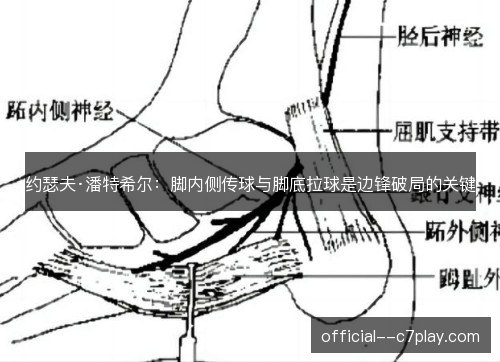 约瑟夫·潘特希尔:脚内侧传球与脚底拉球是边锋破局的关键 约瑟夫·潘特希尔:脚内侧传球与脚底拉球是边锋破局的关键